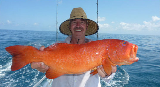 Huge Fish