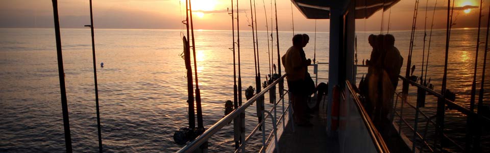 Header Image #3