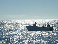 Lone Boat