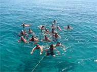 People Swimming