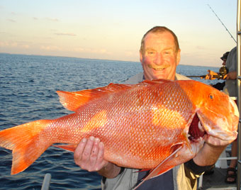 Red Emperor