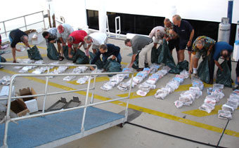 Fish Sorting