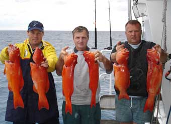 A Feast of Trout