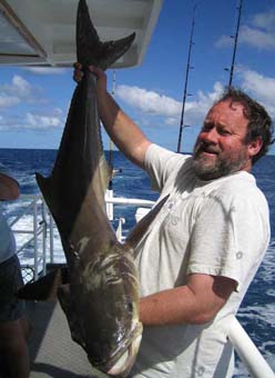 Cobia