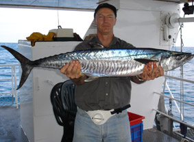  Spainish Mackeral...