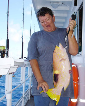 Dy and a Wrasse having a Chat! ?