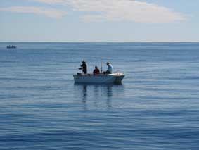 Calm
Seas
