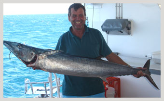 Kevin\'s Mackeral