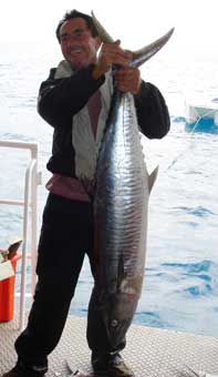 Mackeral