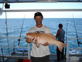 Great Coral Trout