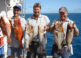 Reefs Bounty