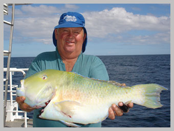 snapper-022.jpg