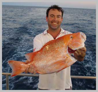 snapper-030.jpg