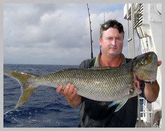 green-job-fish6.jpg green-job-fish6.jpg