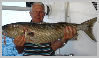 lexgreen-job-fish.jpg lexgreen-job-fish.jpg