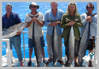 team-wahoo-tuna.jpg team-wahoo-tuna.jpg