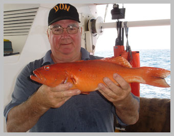 trout2.jpg trout2.jpg