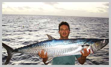 stelzer-mackeral.jpg