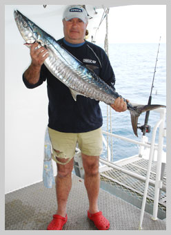 mackeral2colling07.jpg