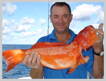 snappertrout07.jpg
